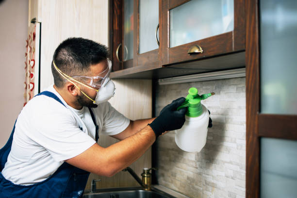 Best Local Pest Control Services  in Fort Mitchell, KY