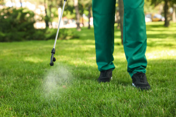 Best Bed Bug Extermination  in Fort Mitchell, KY