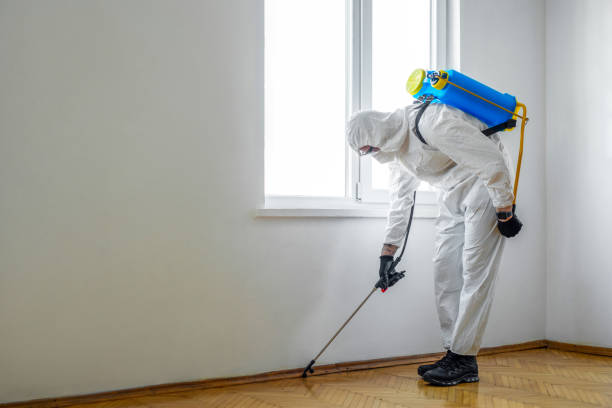 Best Affordable Pest Control Services  in Fort Mitchell, KY