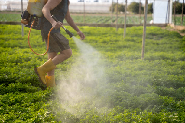 Best Pest Control Near Me in Fort Mitchell, KY
