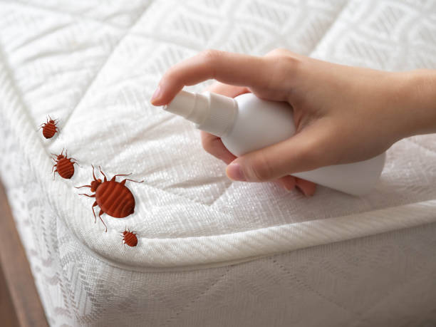 Fort Mitchell, KY Pest Control Company
