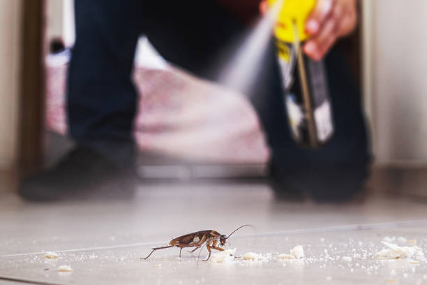 Reliable Fort Mitchell, KY Pest Control Solutions