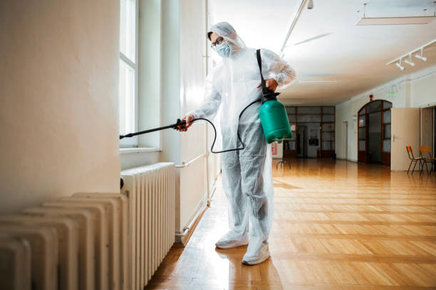 Wasp Removal Services in Fort Mitchell, KY