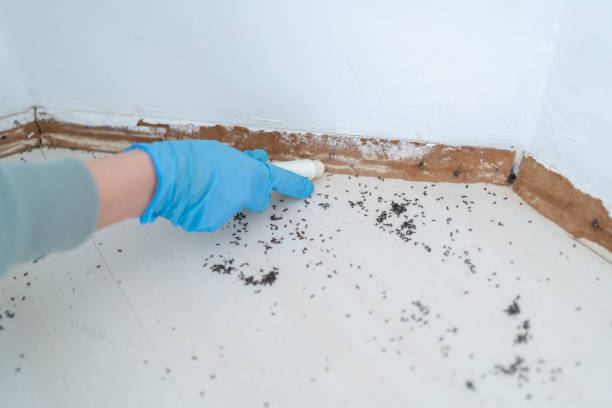 Best Wasp Removal Services  in Fort Mitchell, KY